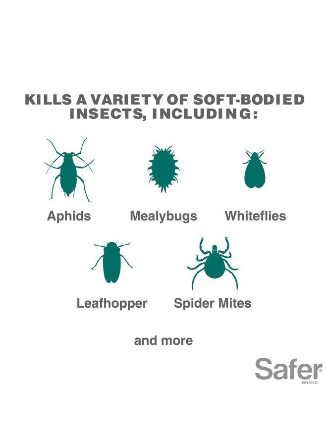 Safer 5118-6 Insect Killing Soap Concentrate - Insecticidal Soap for Plants - Kills Aphids, Whiteflies, Thrips, Spider Mites, and More - OMRI Listed for Organic Use - Image 2